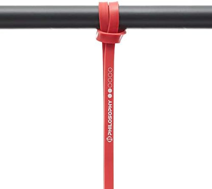 Philosophy Gym Pull Up Assist Band - Resistance Power Loop Exercise Band