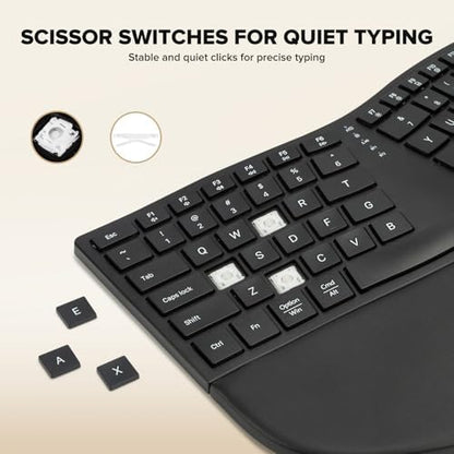 DELUX Ergonomic Wireless Keyboard, Ultra-Thin Split Ergo Keyboard (GM909)