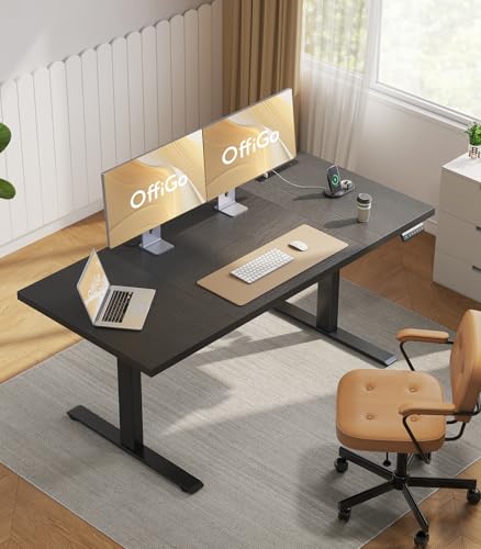 71 Inch Executive Electric Standing Desk Height Adjustable, Black