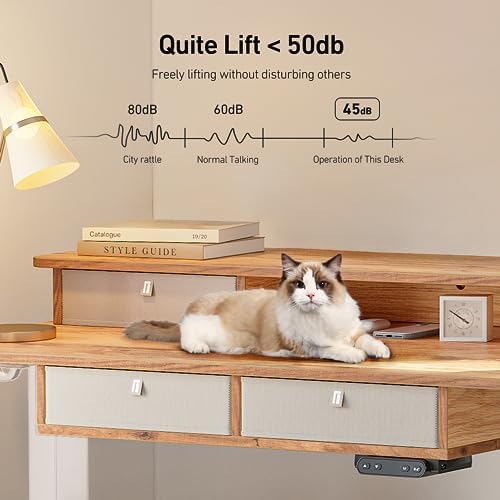 FEZIBO 55 x 30 inch Standing Electric Desk with Drawers, Light Rustic Brown