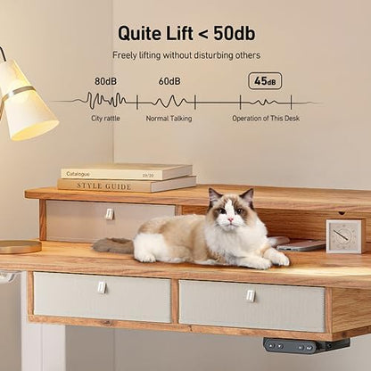 FEZIBO 55 x 30 inch Standing Electric Desk with Drawers, Light Rustic Brown