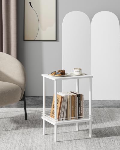 DGSANDGO Modern Small Side Table with Storage, 2-Tier White End Table