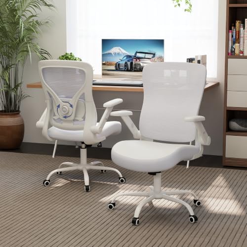ralex-chair Ergonomic Office Chair with Adjustable Lumbar Support 350lbs