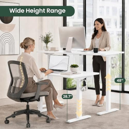 Electric Standing Desk,48in for Home,Office,Gaming,White