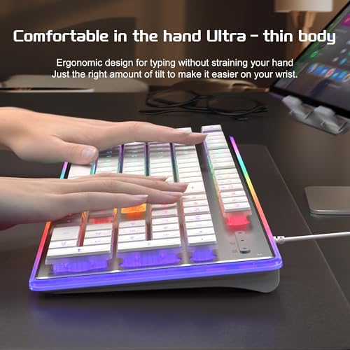 Camiysn Gaming Creamy Keyboard and Mouse, White 104 Keys RGB and 6 Speed RGB Mouse Combo, Pudding Keycaps Silent Computer Keyboard for Computer/PC/Laptop/Mac/Windows/Office