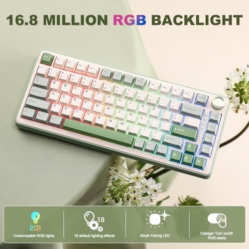 YUNZII B75 PRO 75% Wireless Mechanical Keyboard(Matcha Green,MilkV2)