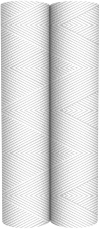 Pentair OMNIFilter RS12 Sediment Water Filter, 10-Inch, Standard Whole House String Wound Sediment Replacement Filter Cartridge, 10" x 2.5", 20 Micron, Pack of 2