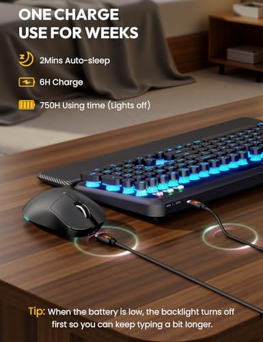 Wireless Keyboard and Mouse, Backlit Typewriter with Magnetic Wrist Rest