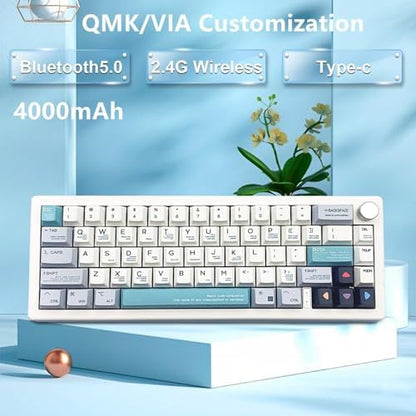 BOYI GMK67 Barebones Keyboard Kit,VIA Programmable Custom BT5.0/2.4GHz/Type-C Tri-Mode Gasket Mounted Hot Swap RGB 4000mAh Wireless 65% Mechanical Gaming Keyboard DIY Kit with Knob(White)