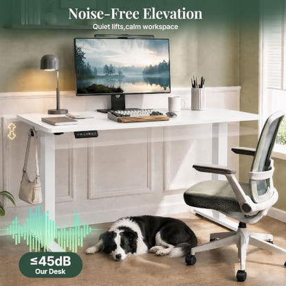 Electric Standing Desk,63in for Home,Office,Gaming,White