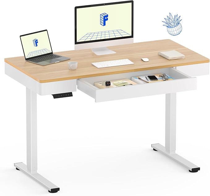 FLEXISPOT Q5 Standing Desk with Drawer, 48 x 24 Inch Electric Adjustable Height Stand Up Desk with Storage Organizer, Whole Piece Wooden Desktop for Home, Office, Computer Workstation, Maple