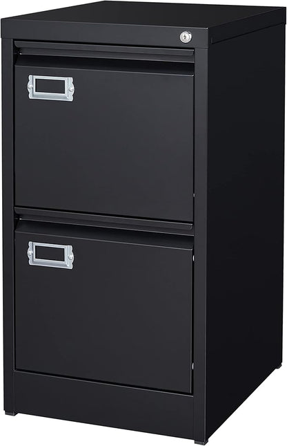 BYNSOE 2 Drawer File Cabinet with Lock Metal Vertical Filing Storage Cabinet Office Home Steel Vertical File Cabinets for A4 Legal/Letter Size Narrow File Cabinet Locked,Assembly Required