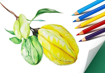 SKKSTATIONERY 288Pcs Colored Pencils, Coloring pencils Pre-sharpened, Back to school, 12 Colors, 12pcs/box, Total 288Pcs Color pencil set