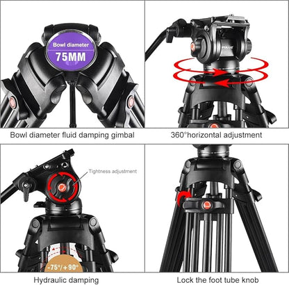 PULUZ 67"/170cm Video Tripod, Heavy Duty Aluminum Alloy Camera Tripod Stand with 360° Fluid Drag Head, QR Plate Compatible with Canon Nikon Sony and Other DSLR Camera Camcorder, Load Up to 22lb/10kg
