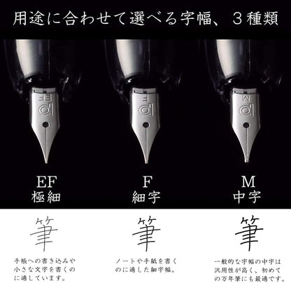 Platinum Fountain Pen, Curidus, Graphite Smoke, Fine Point, PKN-7000#7-2
