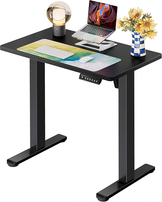 ErGear Height Adjustable Electric Standing Desk, 31.5 x 18.9 Inches Sit Stand up Desk, Memory Computer Home Office Desk with Two-Piece Desktop (Black)