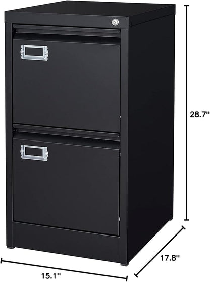 BYNSOE 2 Drawer File Cabinet with Lock Metal Vertical Filing Storage Cabinet Office Home Steel Vertical File Cabinets for A4 Legal/Letter Size Narrow File Cabinet Locked,Assembly Required