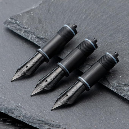 Asvine 3 PCS Fountain Pen Replaced Nibs, #6 Black EF/F/M Nib V169, P20, P30 and V126