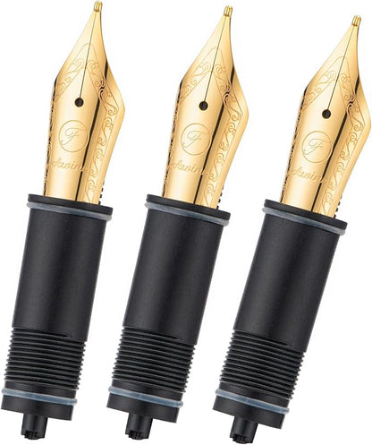 Asvine 3 PCS Fountain Pen Replaced Nibs, 6 Gold Plated Fine Nib V169, P20, P30 and V126