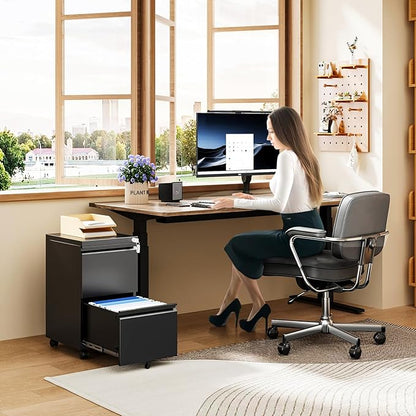 MIIIKO 2 Drawer File Cabinet on Wheels, Home Office Mobile File Drawers Under Desk, Filing Cabinets with Drawers for Legal/Letter/A4 File Folders(Black),Un-Assembled