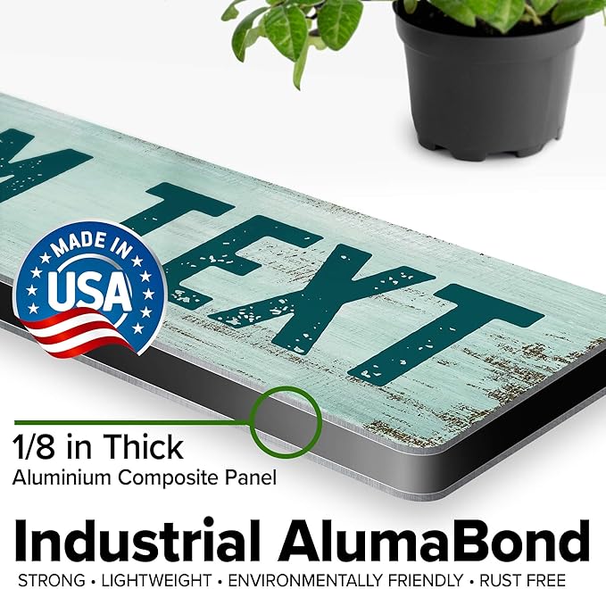 Custom Sign, Custom Street Sign, 11 Font Colors, 13 Font Styles, 4 Hole Options, 22 Sizes, 3x12 Inches, Rust Free DiBound, Fade Resistant, Made in USA by My Sign Center (Shabby Chic)