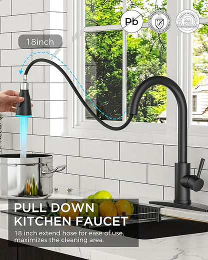 FORIOUS LED Kitchen Faucet with Pull Down Sprayer, Black Single Handle Stainless Steel Traditional Sink Faucets with LED Light Sprayer Head, Suitable for Farmhouse Laundry Camper Rv Bar