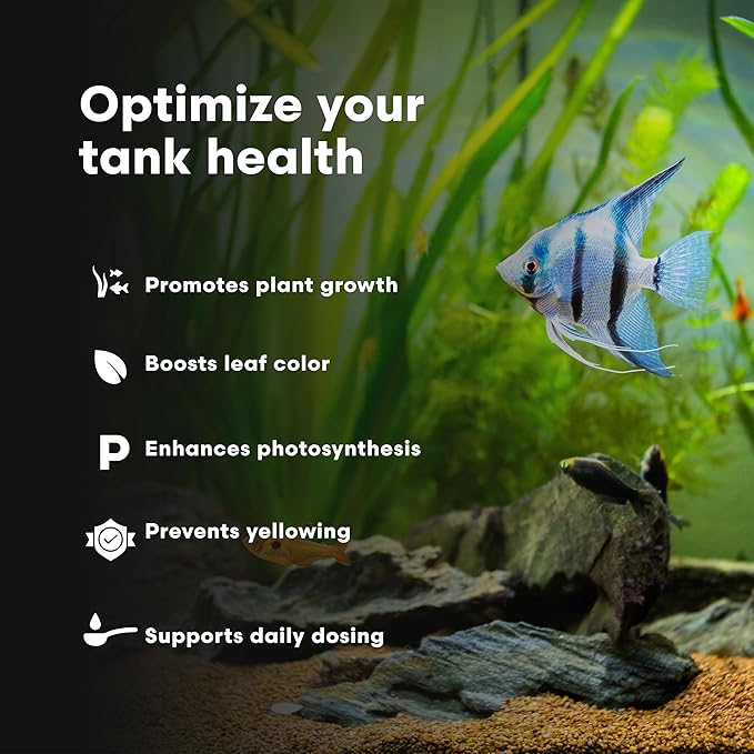 Brightwell Aquatics Florin-Fe Iron Supplement for Planted Aquariums – Dual-Action Iron Source for Plant Growth, Chlorophyll & Vibrant Foliage – Daily Dosing, 20L