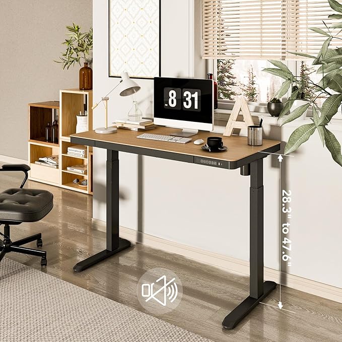FLEXISPOT Electric Standing Desk with Drawer Storage Adjustable Height Quick Assembly Table w/USB Charge Ports (Natural Desktop + Black Frame)
