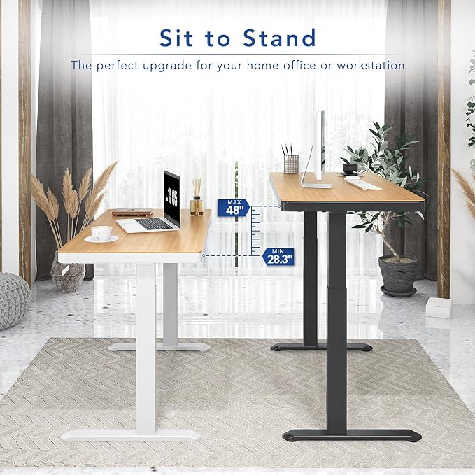 FLEXISPOT Electric Standing Desk with Drawer Storage Adjustable Height Quick Assembly Table w/USB Charge Ports (Natural Desktop + Black Frame)